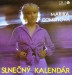 Slnečný kalendár